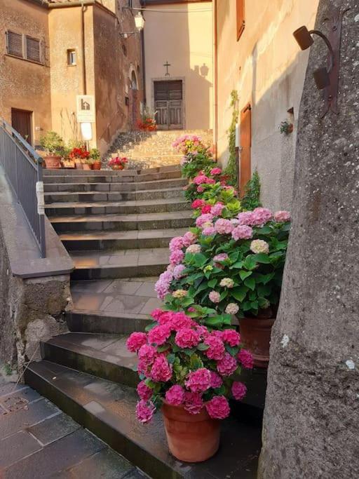 Casa Il Girasole Boccheggiano Exterior foto